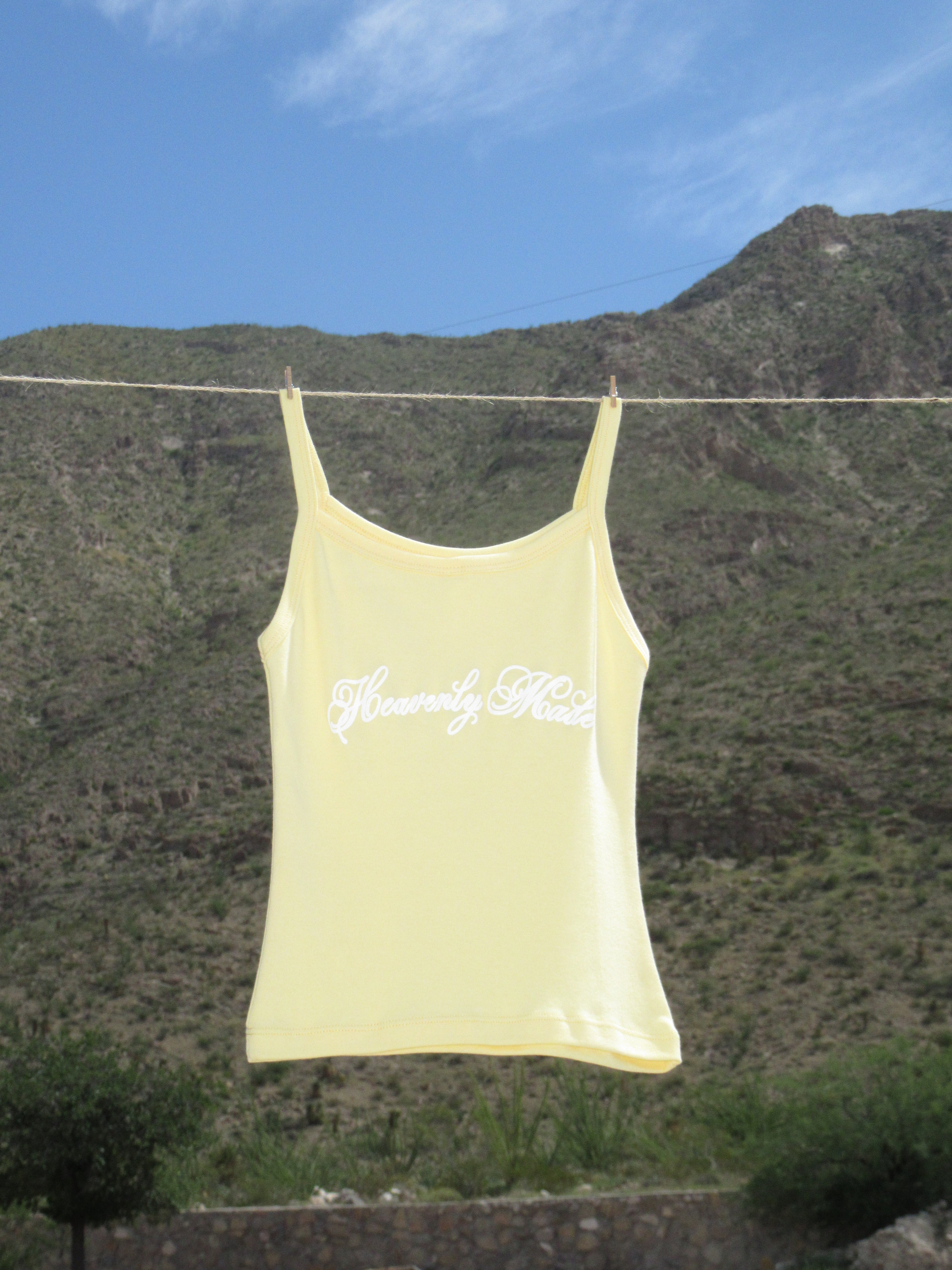 Heavenly Made Tank — Joy